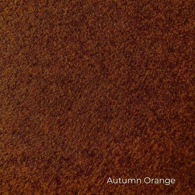 Autumn Orange