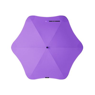 Violet Purple